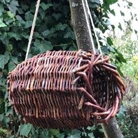 Foto eines Vogelfutterplatzes