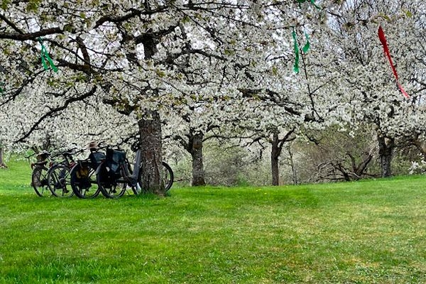 Foto des Schwanenholz-Gel&auml;ndes