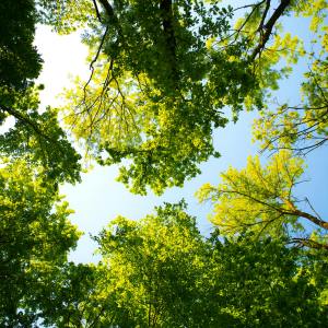 Kursbild Licht, Farbe, Stimmung